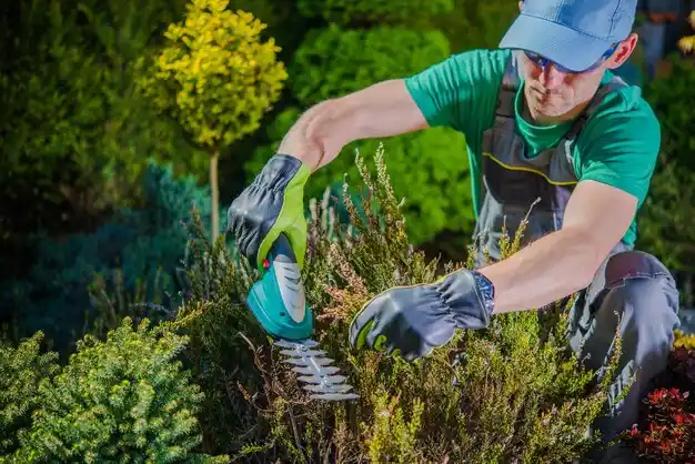 landscaping services Walton Park